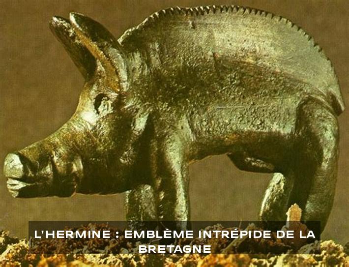 L'hermine : Emblème Intrépide de la Bretagne