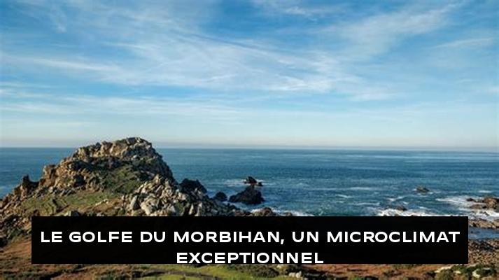 Le golfe du Morbihan, un microclimat exceptionnel