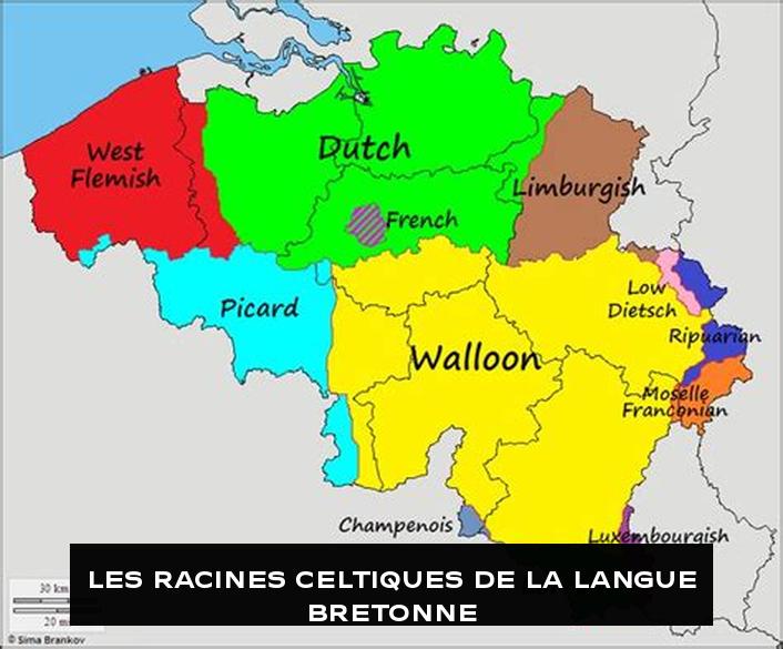 Les Racines Celtiques de la Langue Bretonne