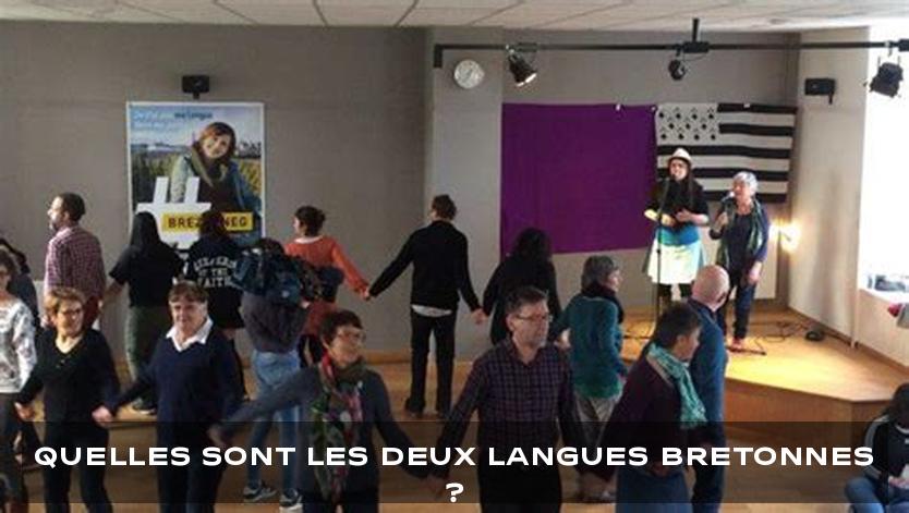 Quelles sont les deux langues bretonnes ?