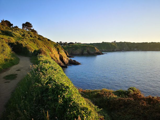 Anas Bretagne à Treveneuc