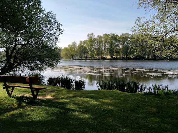 Base de Loisirs de l'etang de la Foret à Brandivy