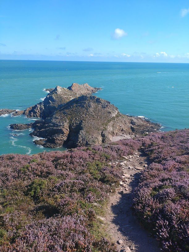 Cap d'Erquy à Erquy