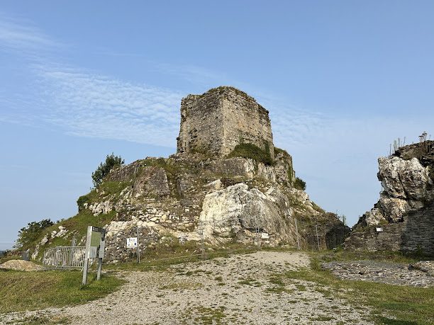 Chateau de La Roche-Maurice à La Roche-Maurice