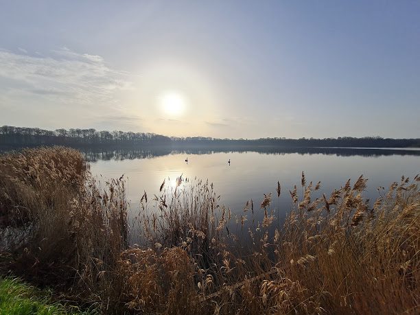 Etang de Bazouges à Hede-Bazouges