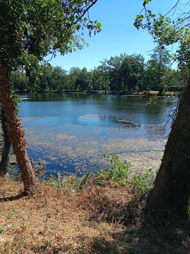 Etang de Dezerseul à Cesson-Sevigne