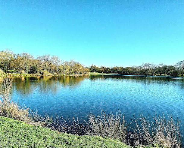 Etang des sources à Mael-Carhaix