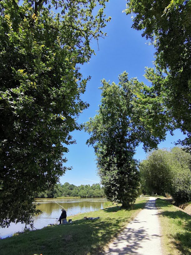 Etang du Blavon à Bedee