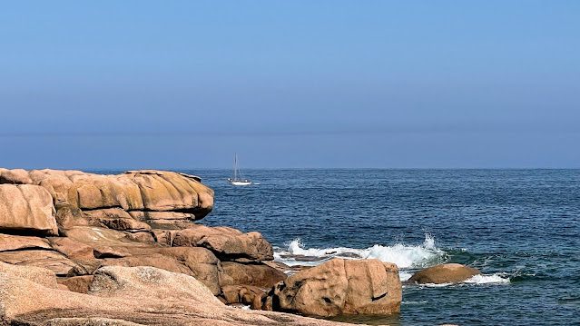 Ile Renote à Tregastel