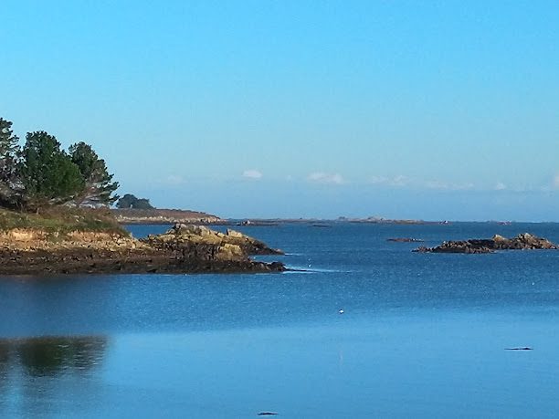 Ile a bois à Lezardrieux