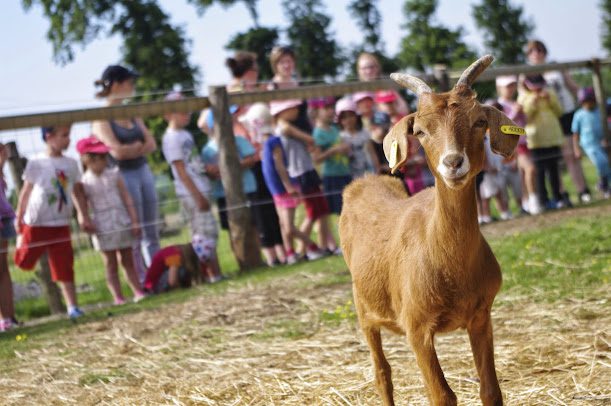 La Ferme de Kemo (uniquement sur reservation) à Corseul