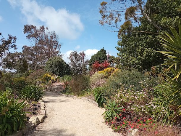 Le Jardin Exotique de Roscoff à Roscoff