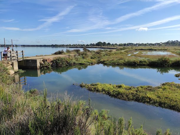 Marais Salants de Lasne à St Armel