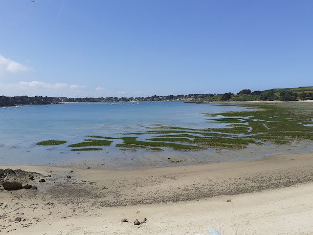 Marais maritime de la Guimorais à Saint-Coulomb