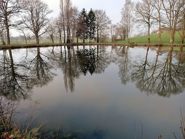 Parc Juvigne à Juvigne