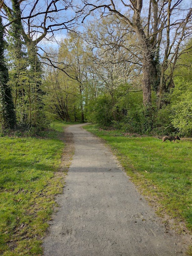 Parc de la seiche - les Monts Gaultier à Noyal-Chatillon-sur-Seiche