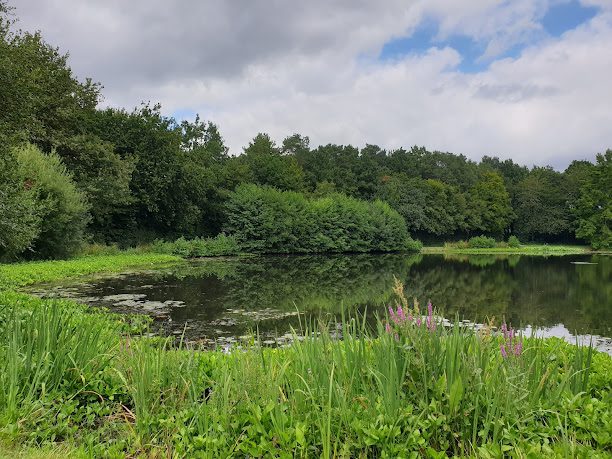 Parc des Gayeulles à Rennes