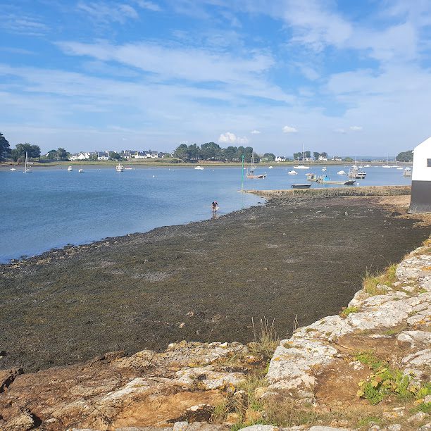 Passage l'Ile de Tascon à St Armel