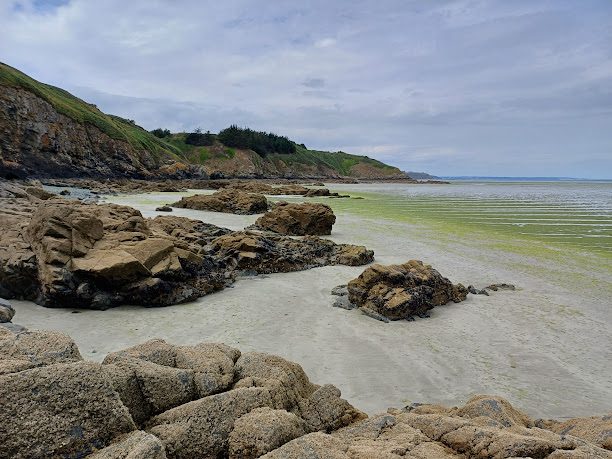 Reserve Naturelle de la Baie de Saint-Brieuc à Hillion