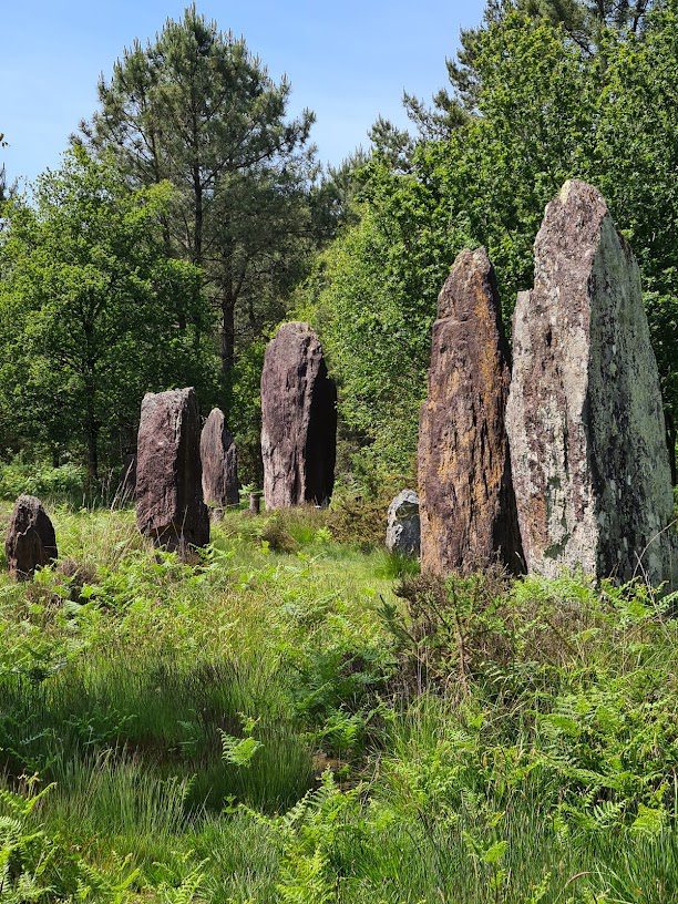 Reserve naturelle regionale des landes de Monteneuf à Monteneuf